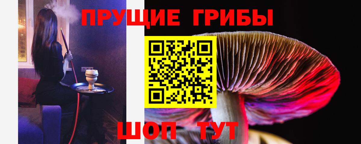 Малоярославец  Псилоцибиновые грибы мухоморы  Вход с VPN 